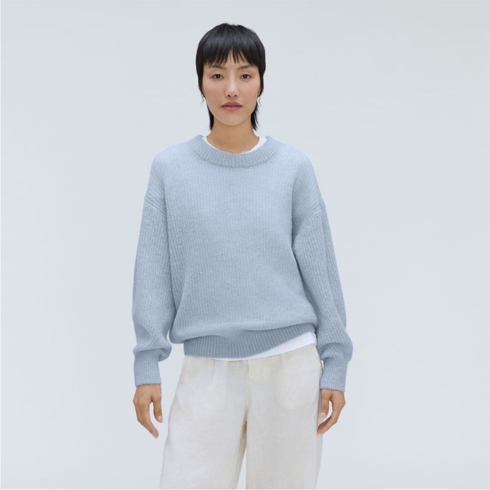 Everlane Merino Crewneck in Light Blue